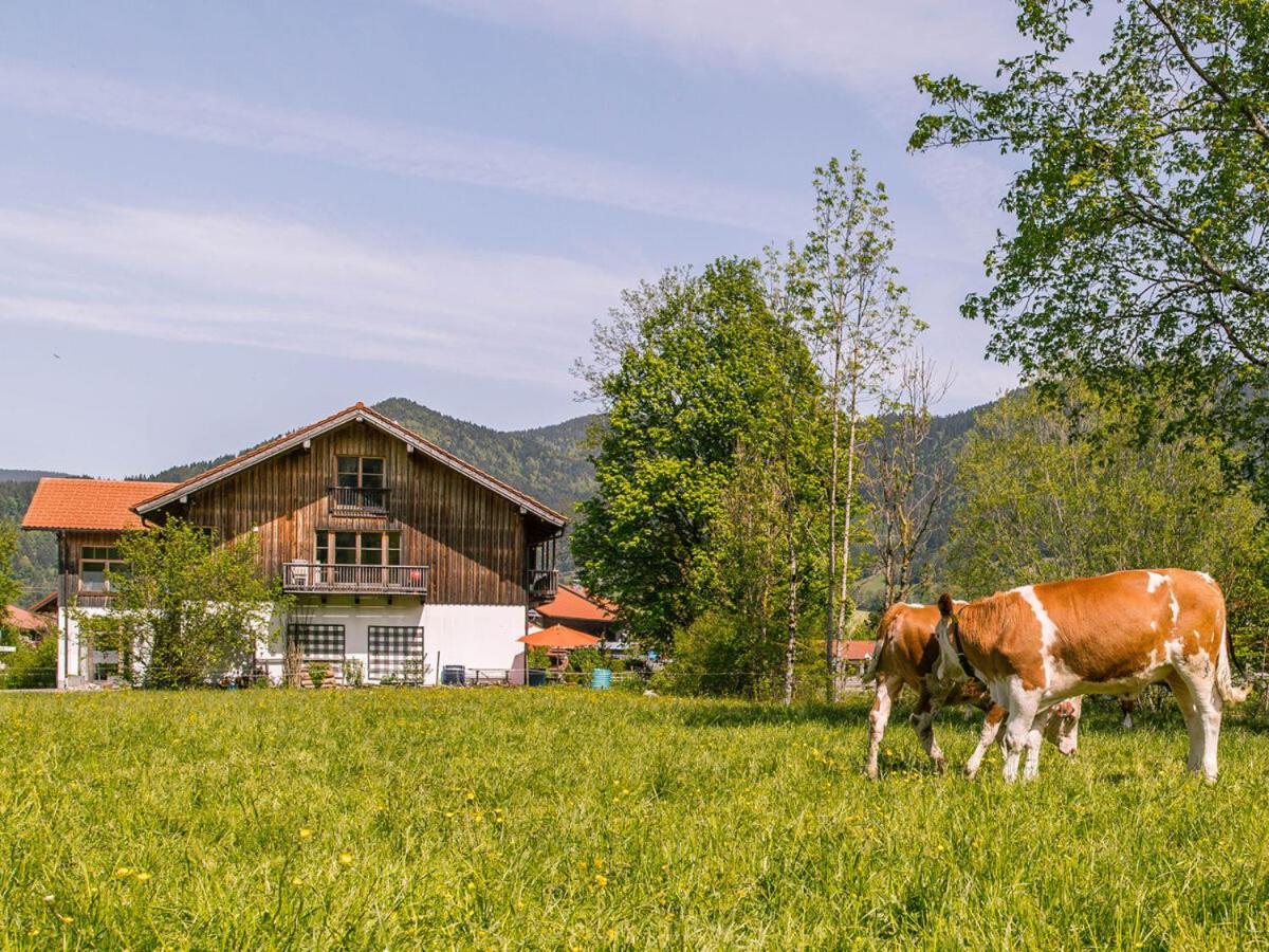 Апартаменти Alpen Chalet Alte Talstation Ленггріс Екстер'єр фото